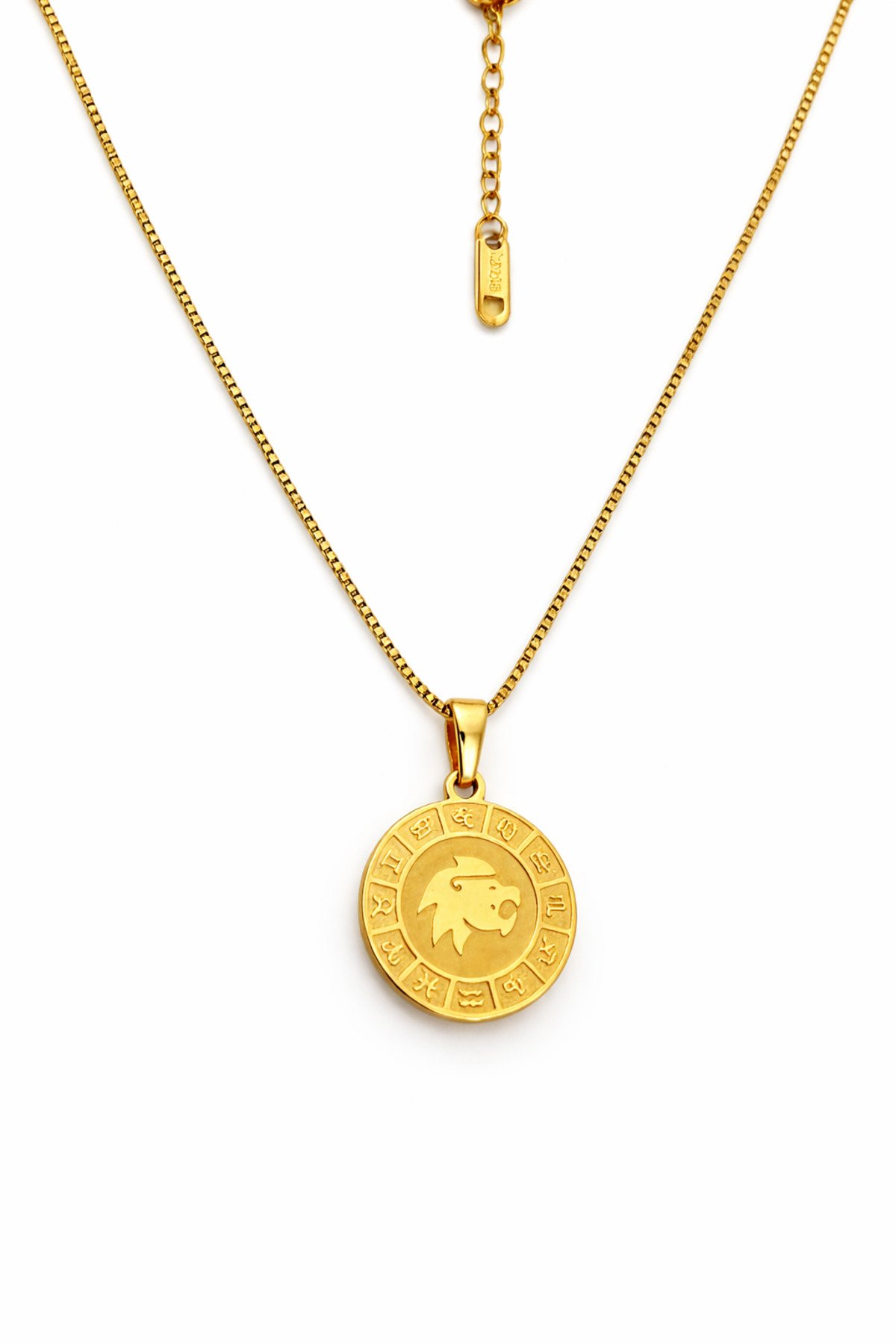 ASLAN BURCU ÇELİK KOLYE